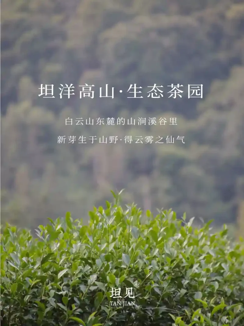 jin mu dan red tea flower fruit aroma 75g