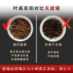 lapsang souchong black tea wuyi