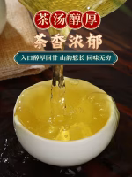 authentic chaozhou fenghuang wudong dancong yashixiang daily new tea rich aroma type dancong oolong tea leaf self drinking bag pack