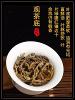authentic phoenix dan cong huang zhi xiang high mountain dan cong tea wudong traditional handmade packaging 500g