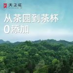 keemun black tea authentic high quality new tea premium qihong snail 180g
