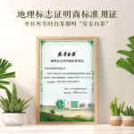 he'antang authentic high mountain yuqian anji white tea 2026 date tea self drink green tea spring tea total 500g