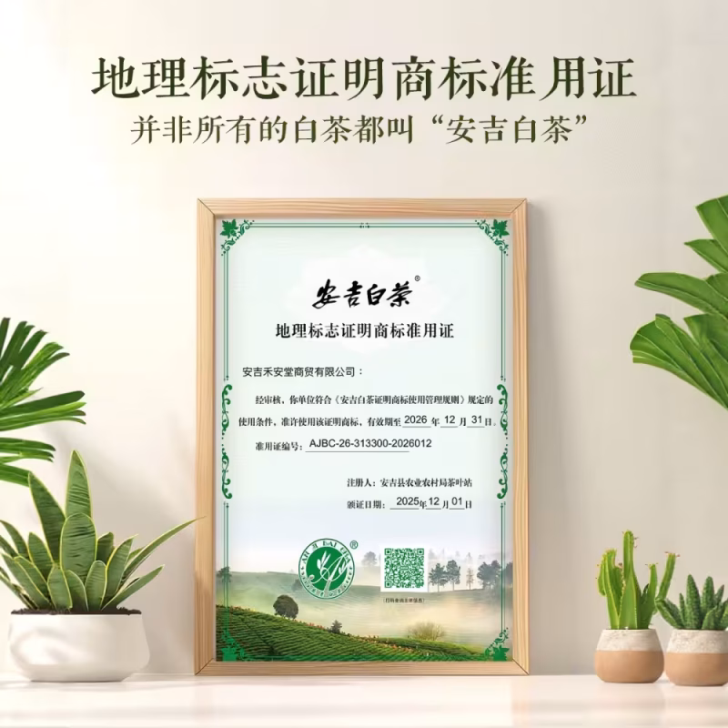 he'antang authentic high mountain yuqian anji white tea 2026 date tea self drink green tea spring tea total 500g