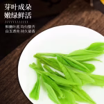 he'antang authentic high mountain yuqian anji white tea 2026 date tea self drink green tea spring tea total 500g